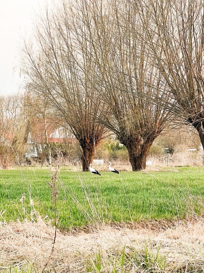 Siedlisko Nad Nogatem Homestay *